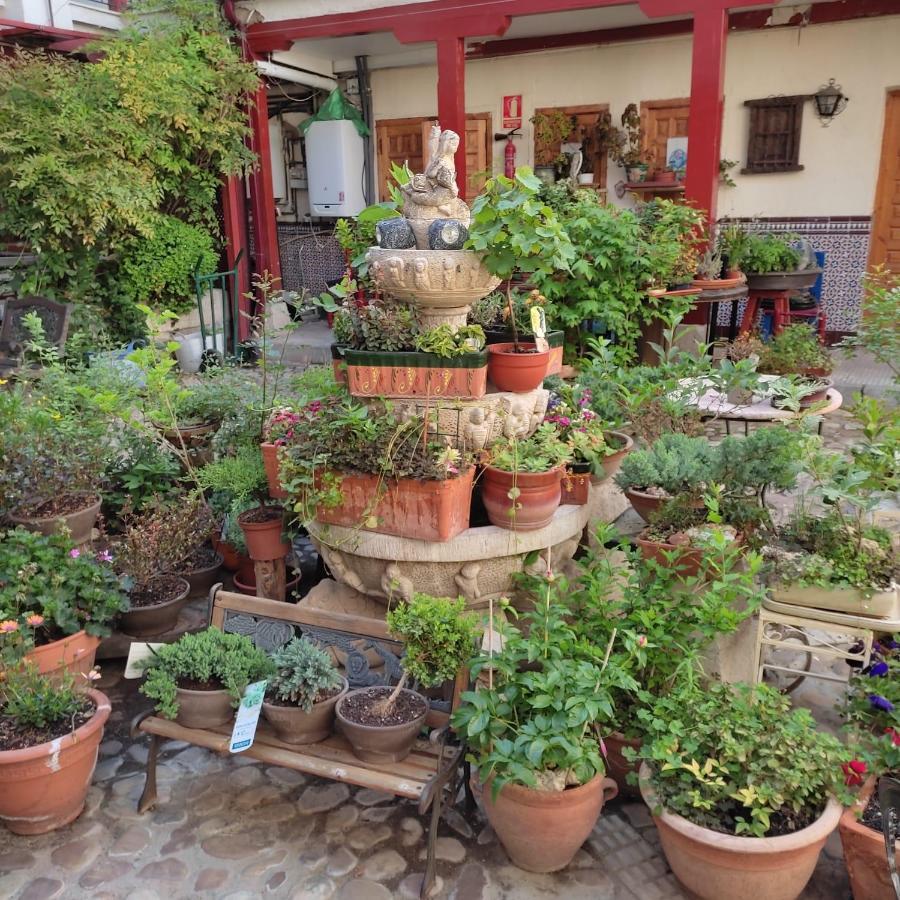 ארנחואז Hostal Castilla מראה חיצוני תמונה