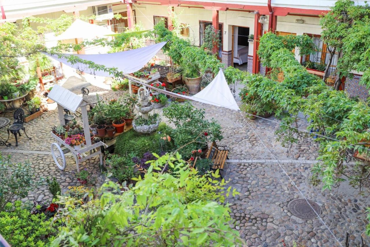 ארנחואז Hostal Castilla מראה חיצוני תמונה